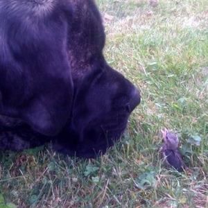 Meet your Posher, Lori